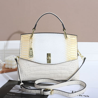 Ombre Mystique Handbag